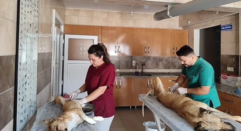 Yaşatmak İstiyoruz