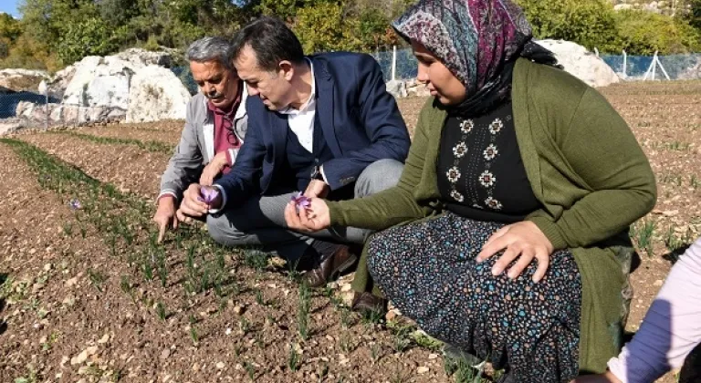Yenişehir Belediyesi tarımsal danışmanlık hizmeti verecek