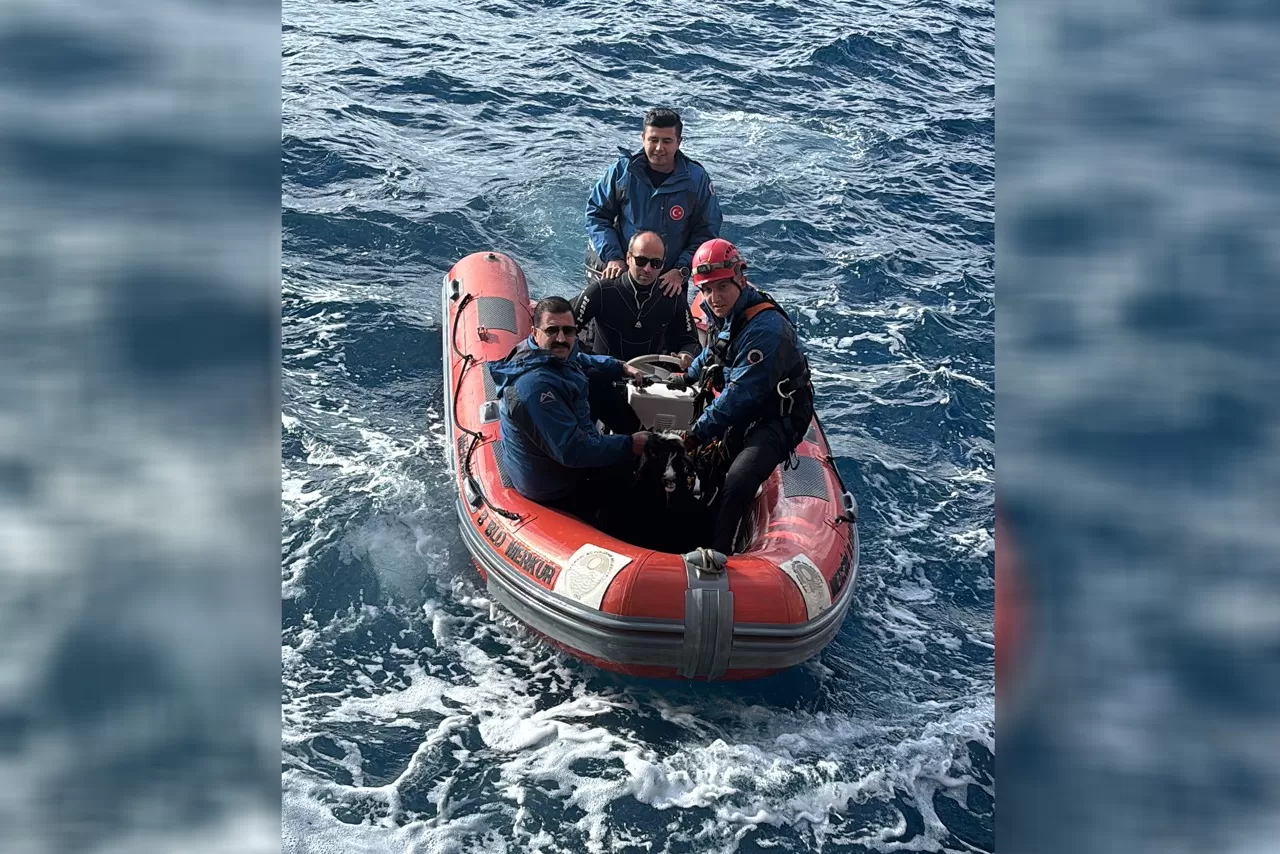 Sarp kayalıklarda can pazarı, Mersin İtfaiyesi keçiyi ölümden aldı