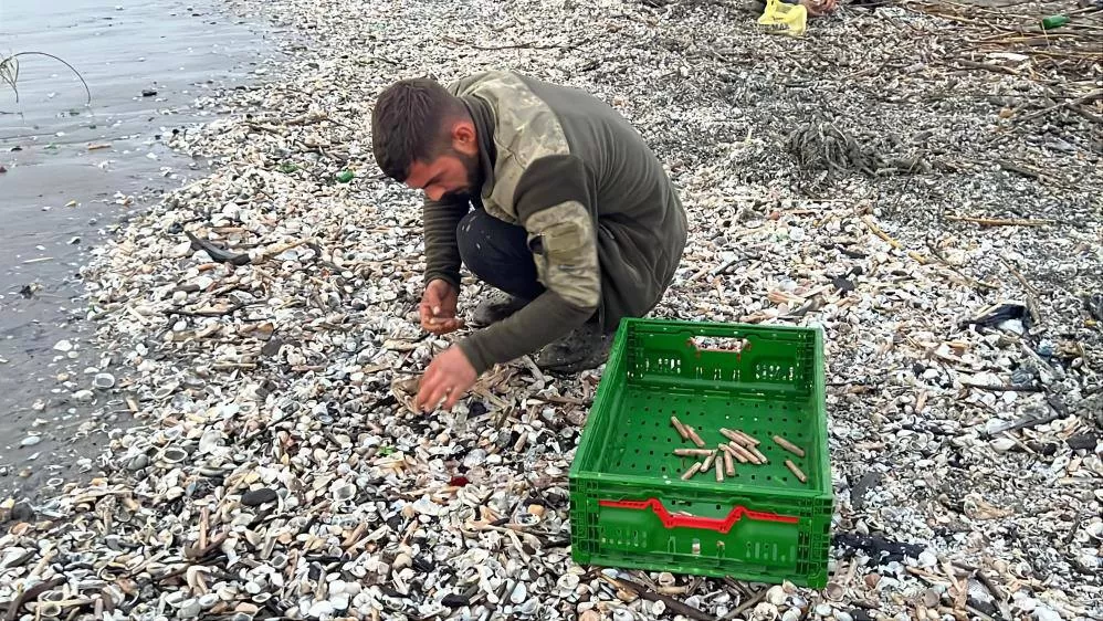Mersin’de Sahile Binlerce Kargı Midyesi Vurdu