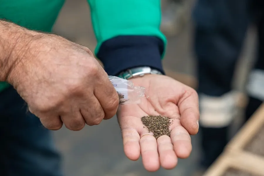 Mersin’de Ekolojik Tarım Hamlesi: 10 Bin Tıbbi Bitki Fidesi Toprakla Buluştu